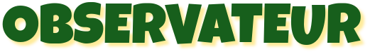 observateur
